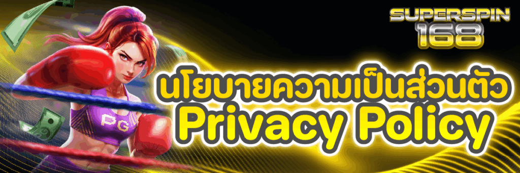 นโยบายความเป็นส่วนตัว